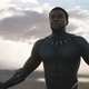 Illustration for article titled Marvel says fuck your popular movie category, is still pushing iBlack Panther/i for Best Pictureem/em